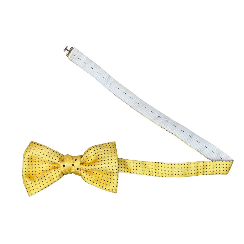 Papillon Cravattino in Seta Fantasia a Pois