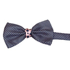 Papillon in Seta Fantasia Pois