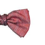 Papillon Uomo Annodato in Seta