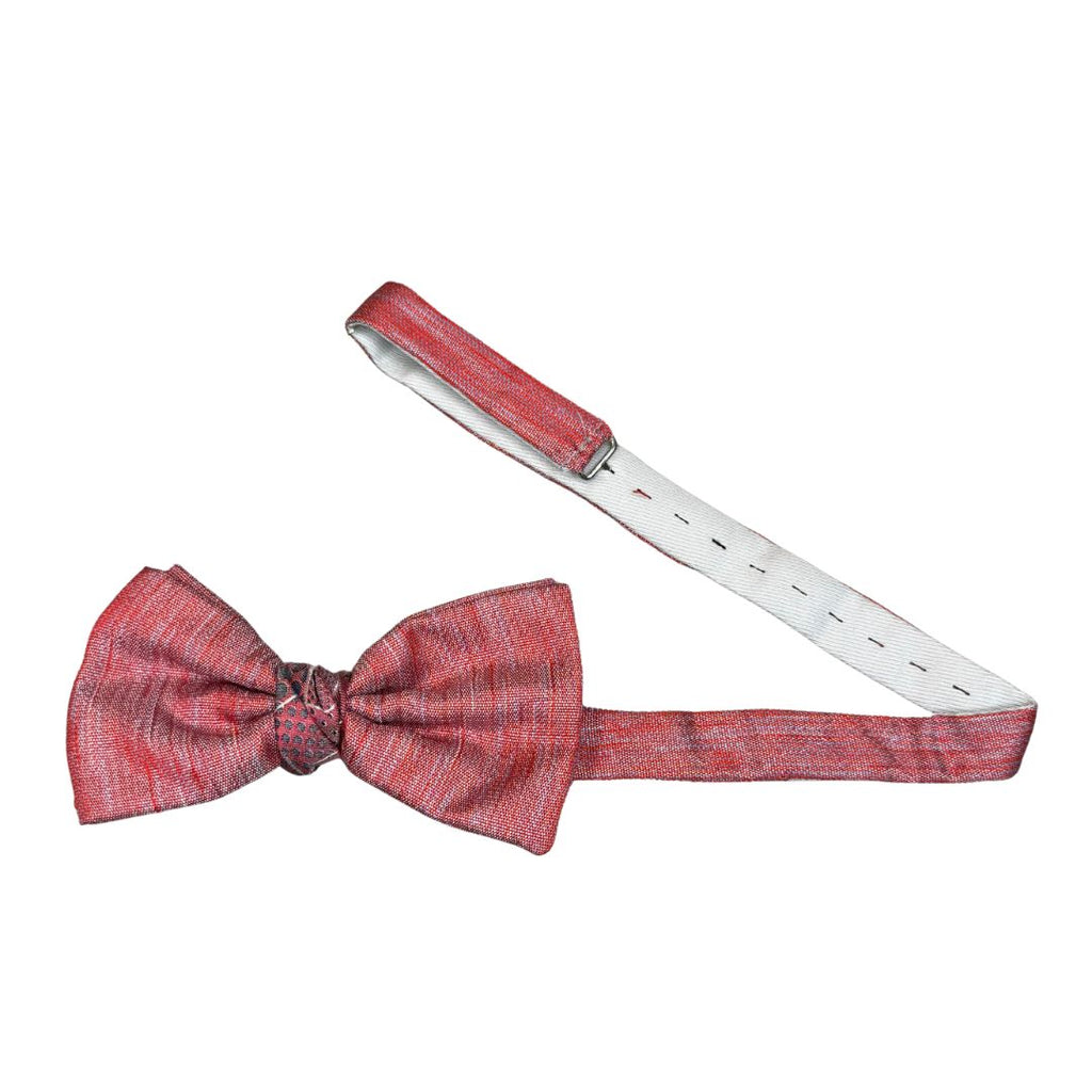 Papillon Uomo Annodato in Seta