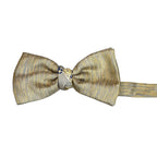 Papillon Uomo Annodato in Seta