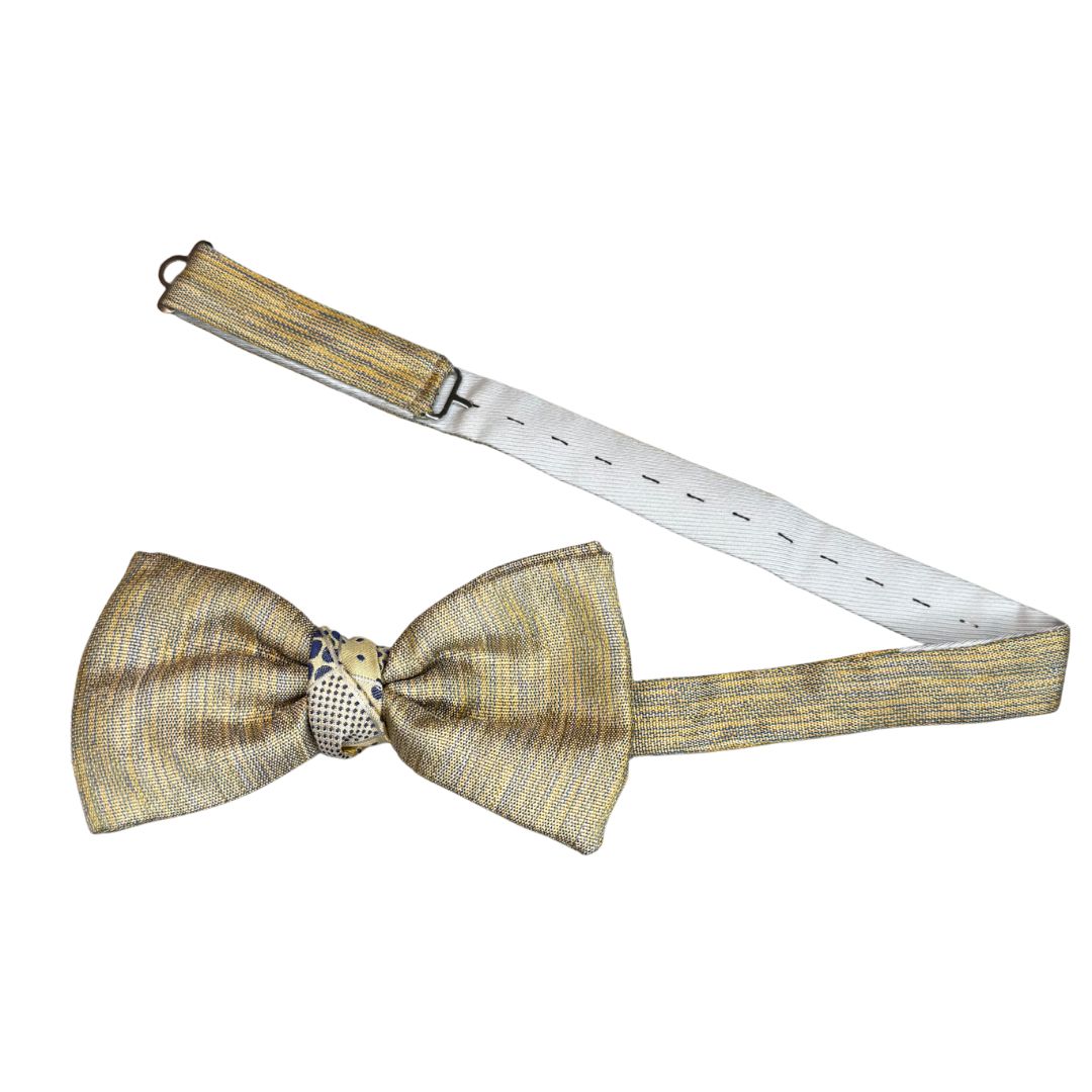 Papillon Uomo Annodato in Seta