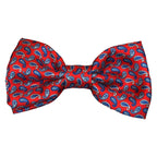 Papillon seta a righe annodato a mano stampe cashmere