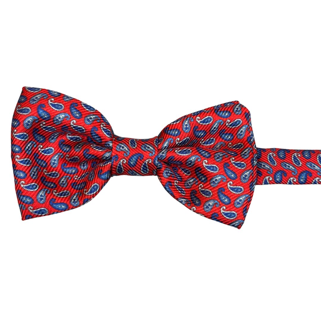 Papillon seta a righe annodato a mano stampe cashmere