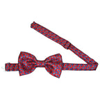 Papillon seta a righe annodato a mano stampe cashmere