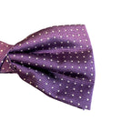 Papillon pois in seta