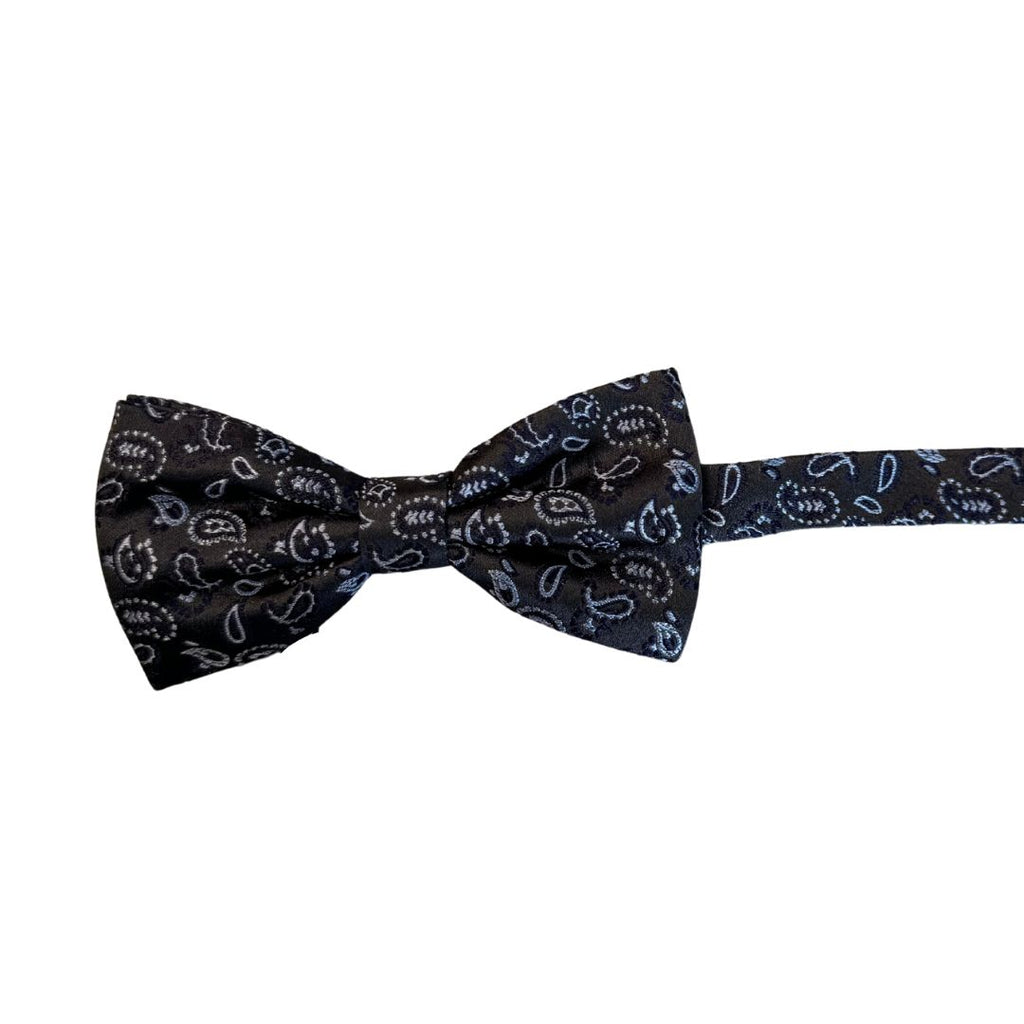 Papillon disegno cashmere in seta