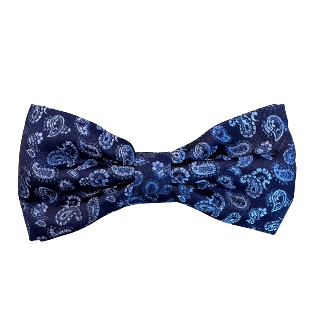 Papillon disegno cashmere in seta