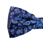 Papillon disegno cashmere in seta