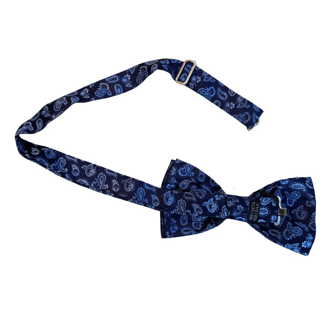 Papillon disegno cashmere in seta