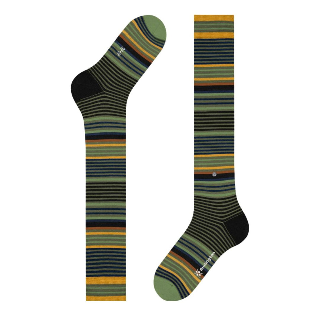 Calzini lunghi Burlington Stripe gambaletto